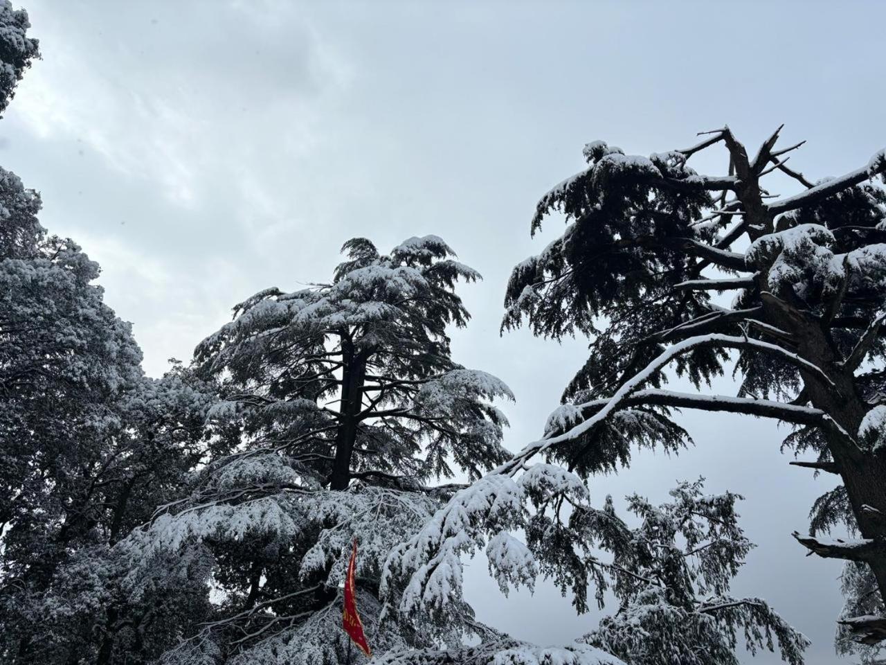 Hotel Jakhu Heights Shimla Exterior foto